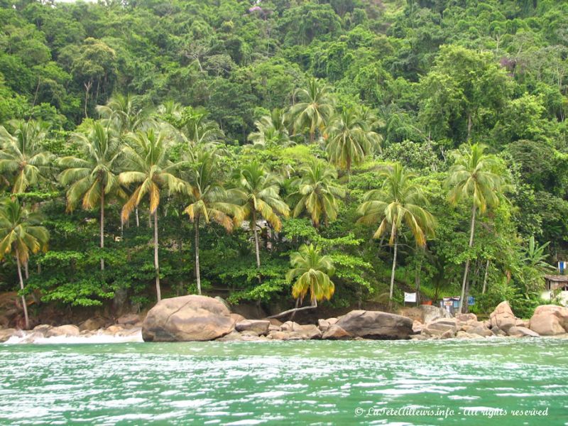 La végétation qui recouvre toute l'île et borde les plages les rendent plus exotiques encore...