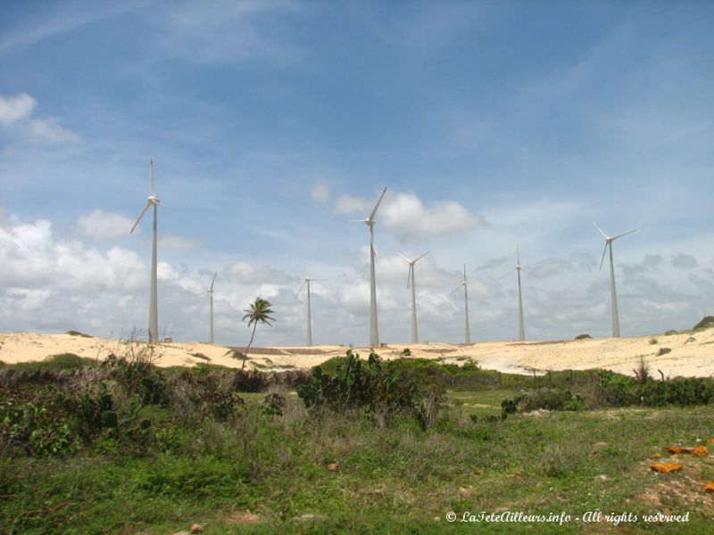 Le littoral est parsemé d'immenses héoliènes