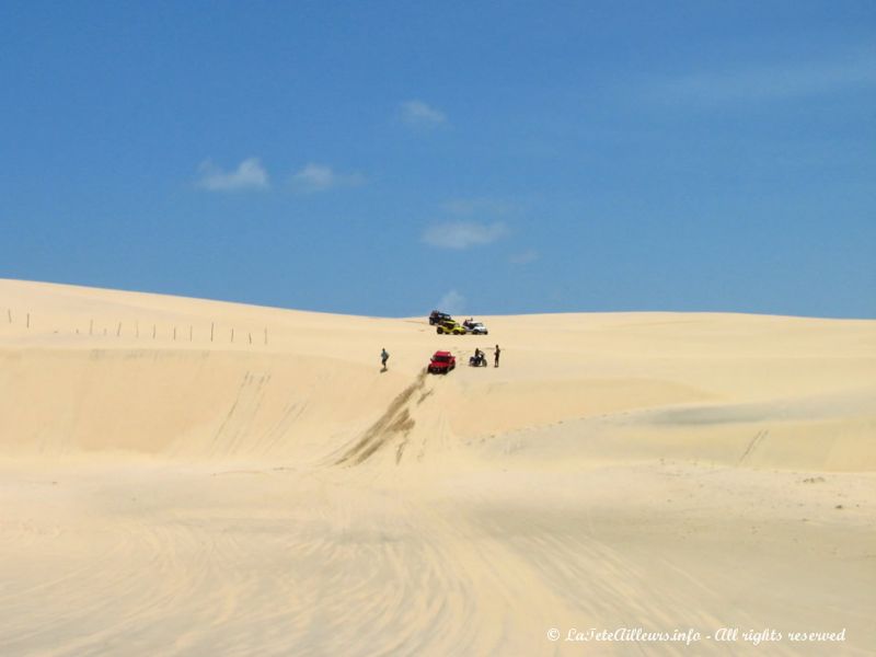 Après la plage, les dunes !