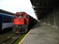 Le vieux train touristique traversant la Serra da Graciosa