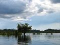 Paysages d'Amazonie