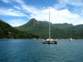 Un catamaran mouillant dans la baie d'Abraão