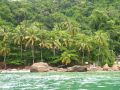 La végétation qui recouvre toute l'île et borde les plages les rendent plus exotiques encore...