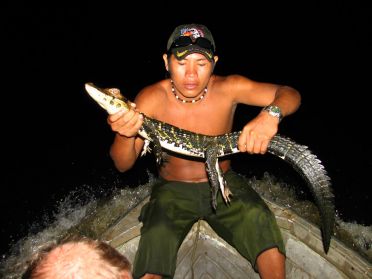 Ici, c'est à la main qu'on pêche les caïmans !