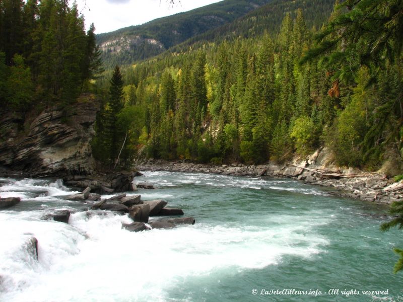 Une belle riviere de la Colombie Britannique