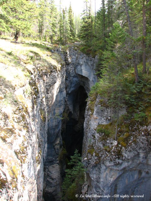 Le canyon Maligne