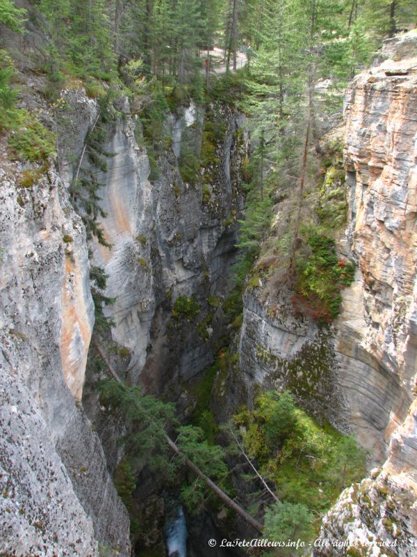 Le canyon Maligne 02