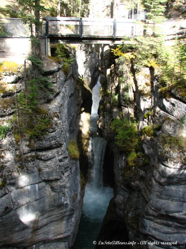 Le canyon Maligne 03