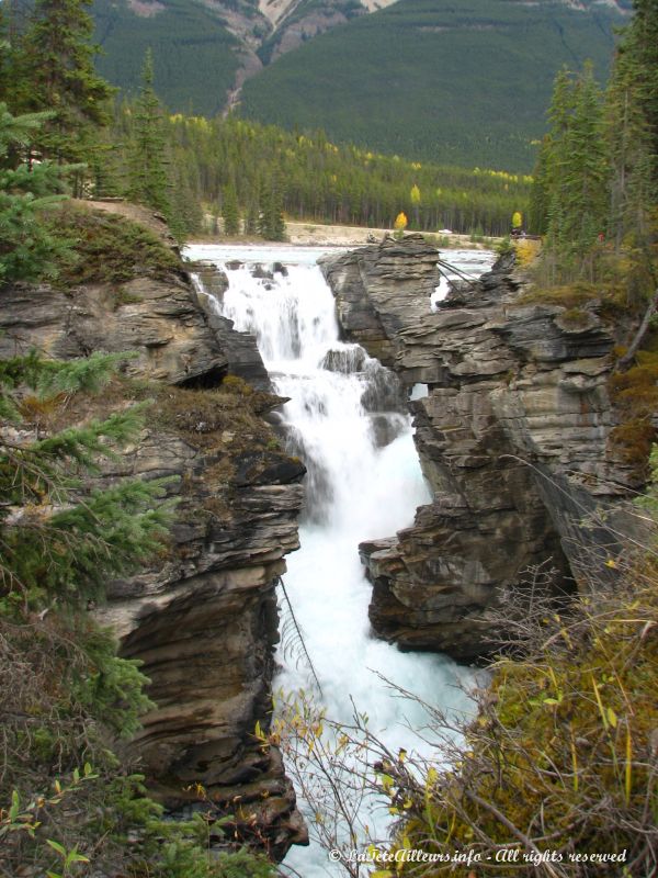 Les chutes Athabasca