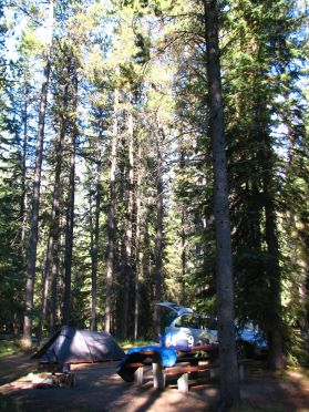 Notre emplacement de camping a Jasper, en pleine foret