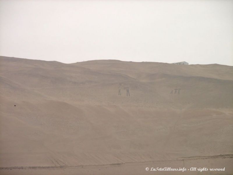 Les géoglyphes de la Vallée d'Azapa