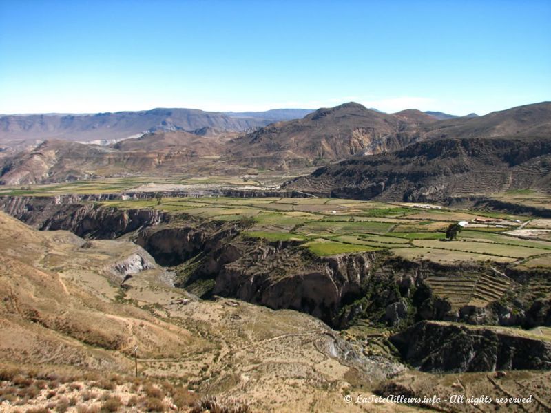 Cultures en terrasses aux alentours de Putre