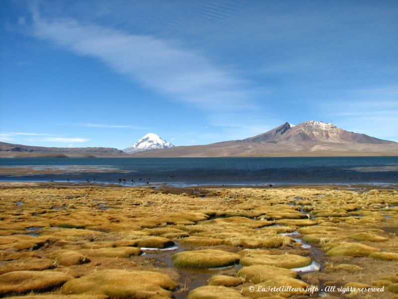 Le lac de Chungara