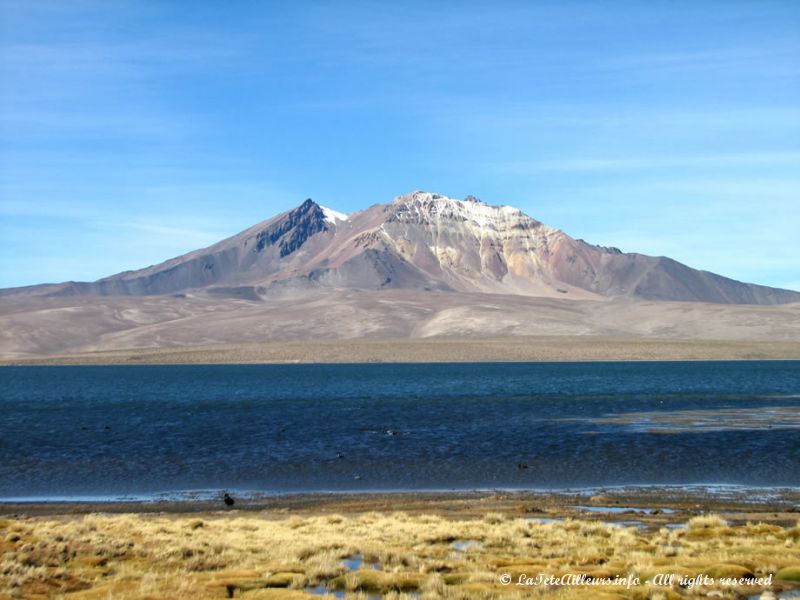 Le lac de Chungara, dans un très bel environnement