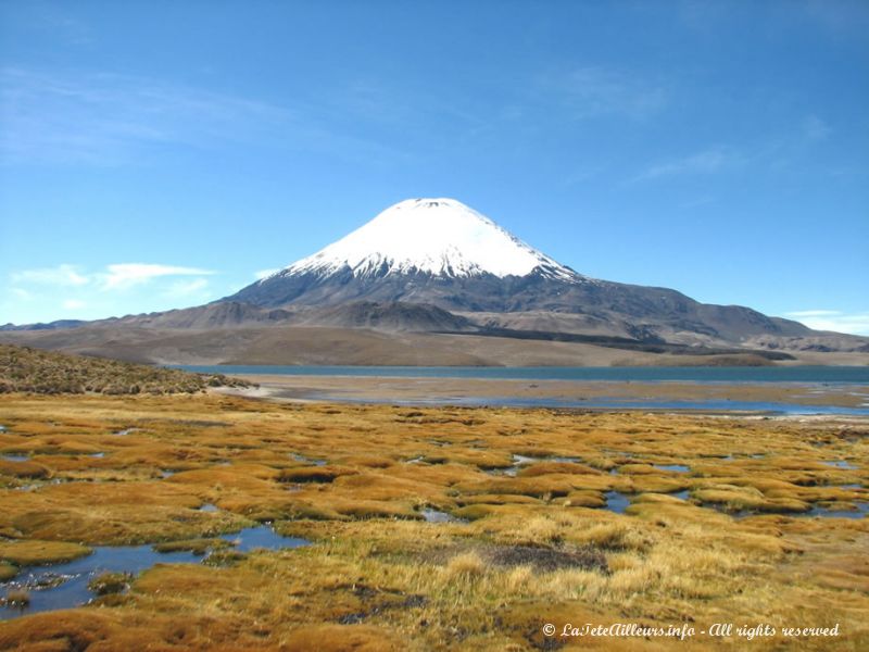 Le lac de Chungara dominé par le volcan Parinacota (6342m)