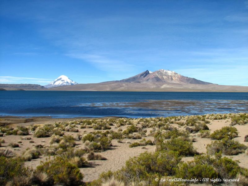 Le lac de Chungara, le plus beau paysage du Parc National Lauca