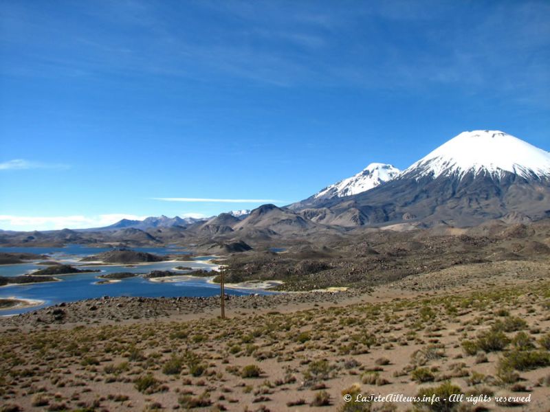 Des lagunes d'origine volcanique au Parc National Lauca