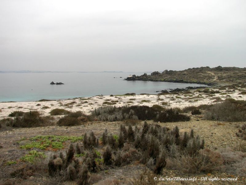 Nous accostons sur l'isla Damas