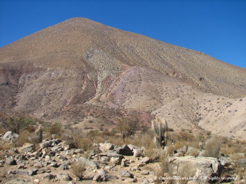 Une route superbe à découvrir de jour avant de se rendre à l'observatoire la nuit