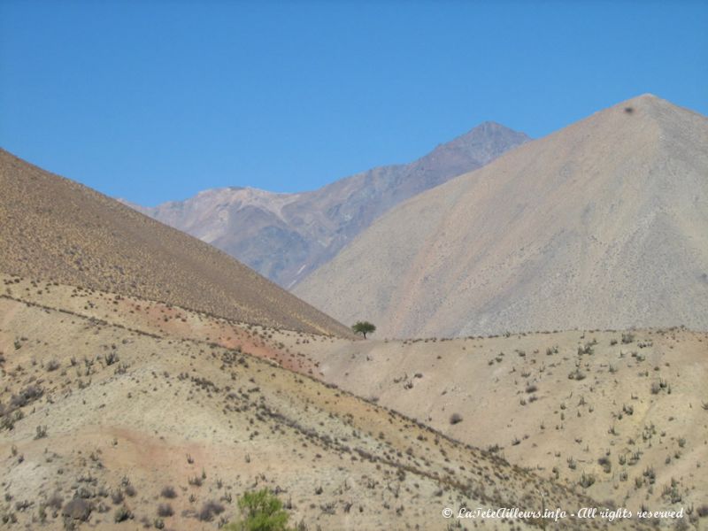 Vue à proximité de l'observatoire Mamalluca