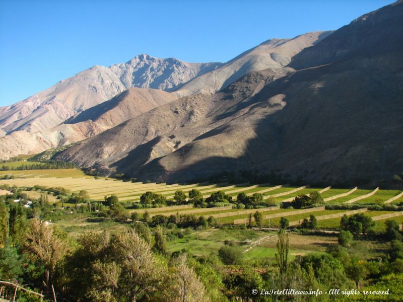 Paysages sur la route de Pisco Elqui