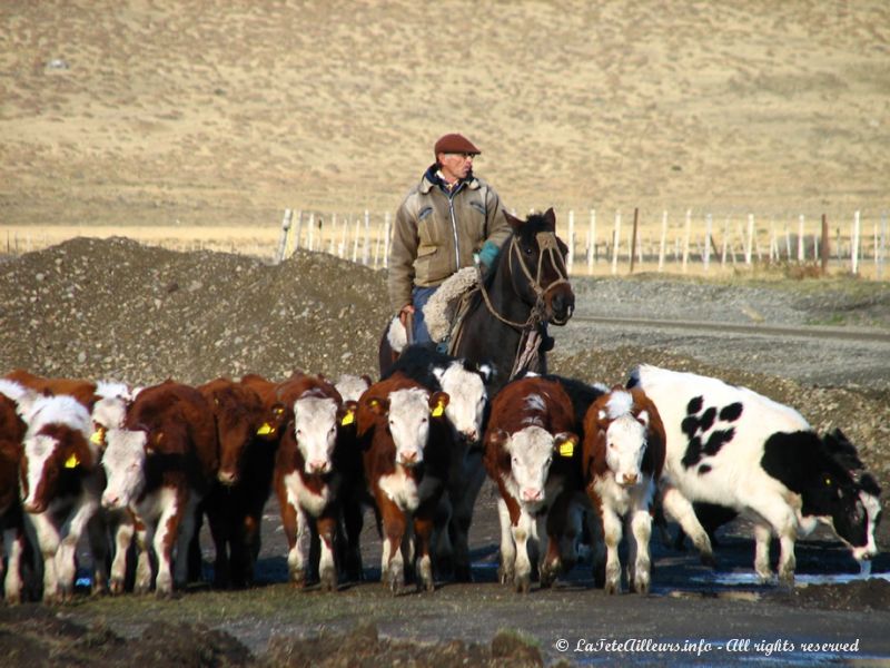 Les descendants des gauchos, hommes fiers et solitaires...