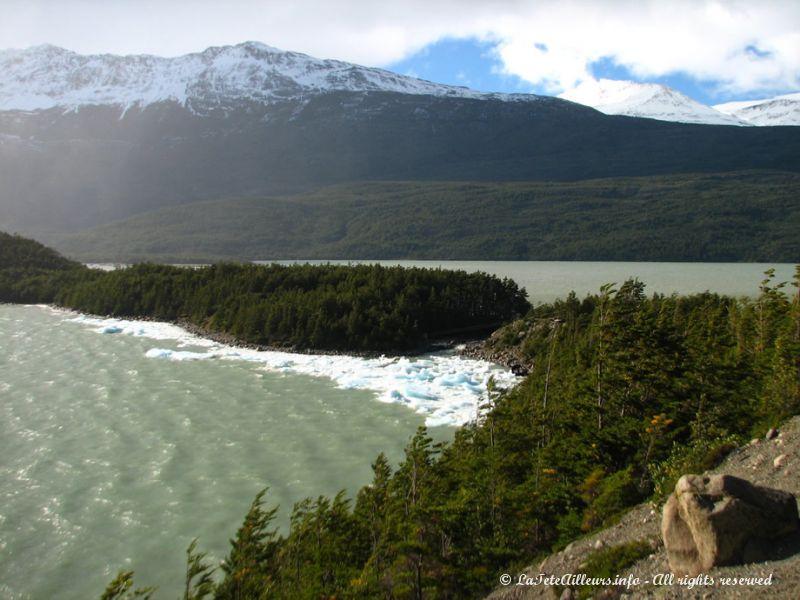 Les icebergs s'échouent, poussés par les vents