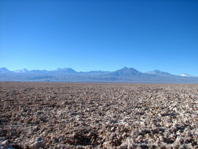 Le Salar d'Atacama, le plus grand salar du Chili