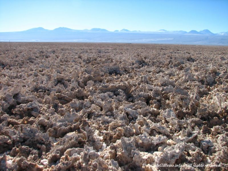 Des croûtes de sel à perte de vue