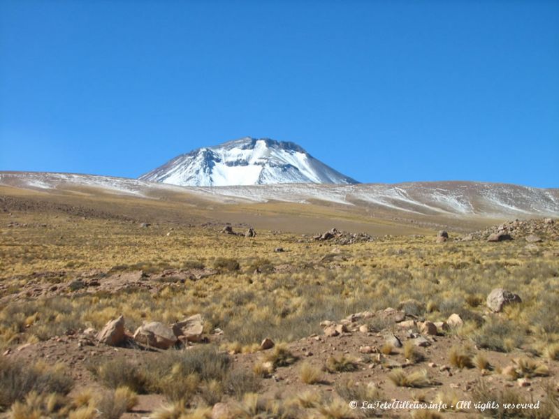 Le volcan Miscanti en toile de fond