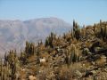 L'observatoire astronomique Cerro Tololo domine montagnes et cactus