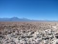 Le Salar d'Atacama, à 2300m d'altitude