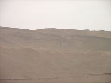 Les g&eacute;oglyphes de la Vall&eacute;e d'Azapa