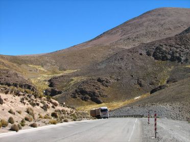 V&eacute;g&eacute;tation sur la route du Parc National Lauca