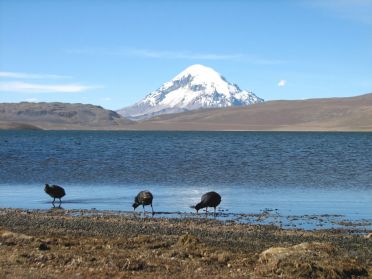 Le lac de Chungara, &agrave; 4500m d'altitude !
