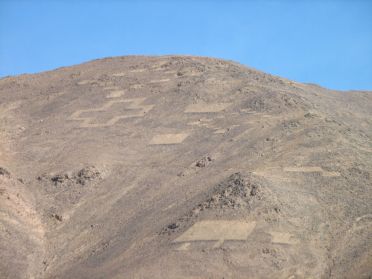 Les g&eacute;oglyphes de Pintados datent de 1000 &agrave; 1400 ans apr&egrave;s J.C.