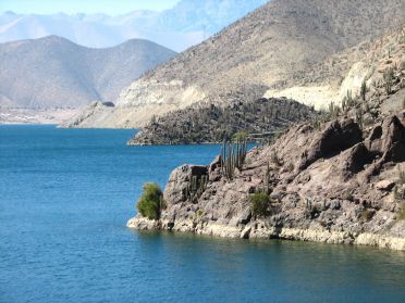 Des cactus et encore des cactus !