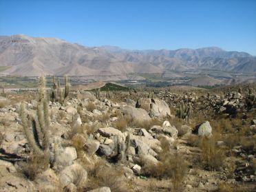Demi-tour vers Vicuña