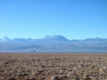 320000 ha de sel !