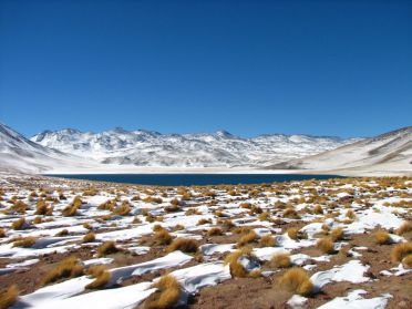 La lagune Miscanti 