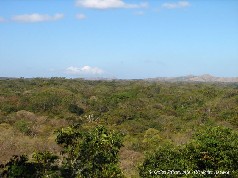 Le parc Santa Rosa et sa forêt tropicale sèche