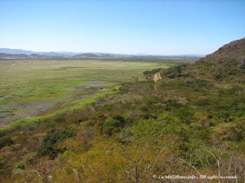 Vue sur les marais de Palo Verde depuis le Mirador