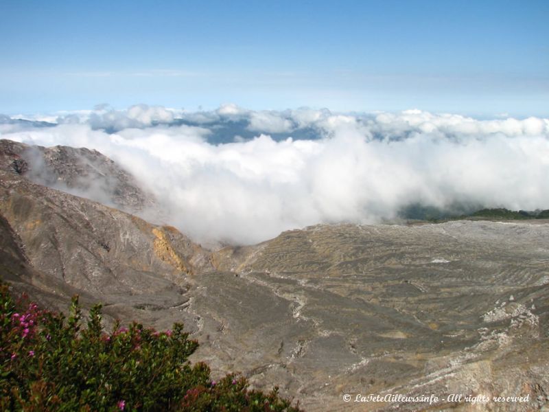 Une mer de nuages dans des paysages surréalistes...