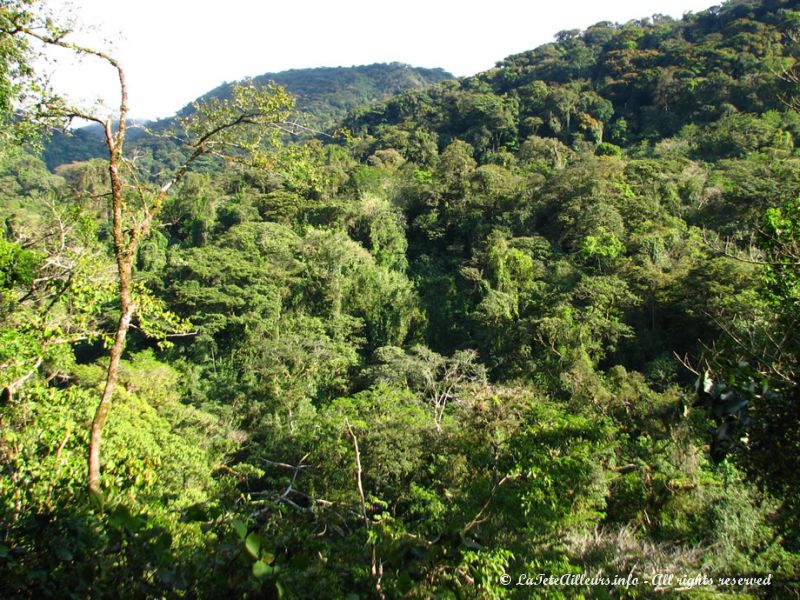 La cascade de San Luis est perdue dans la forêt humide