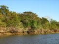 Les rives de la rivière abritent de nombreux oiseaux