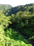 Pour trouver la cascade, il suffit de suivre la rivière (si si !)