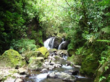 C'est &ccedil;a la cascade de San Luis ???...