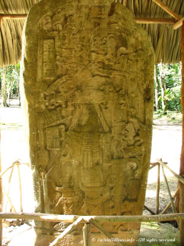 Un des nombreuses stèle d'El Ceibal