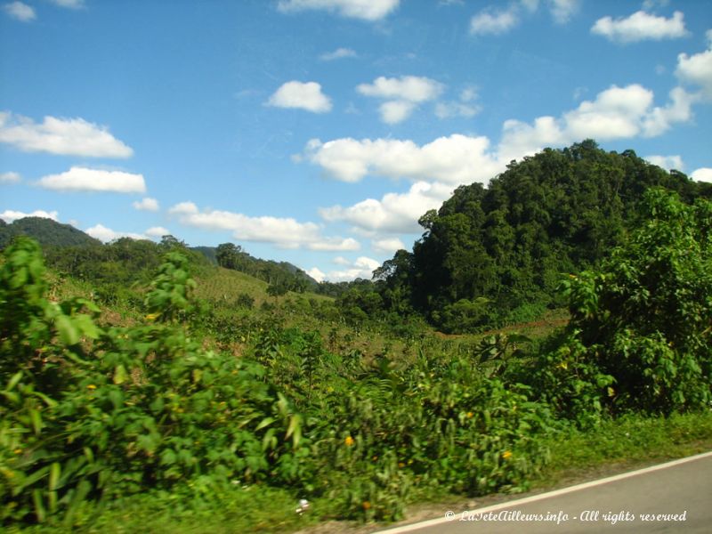 La région est l'une des plus verdoyantes du Guatemala