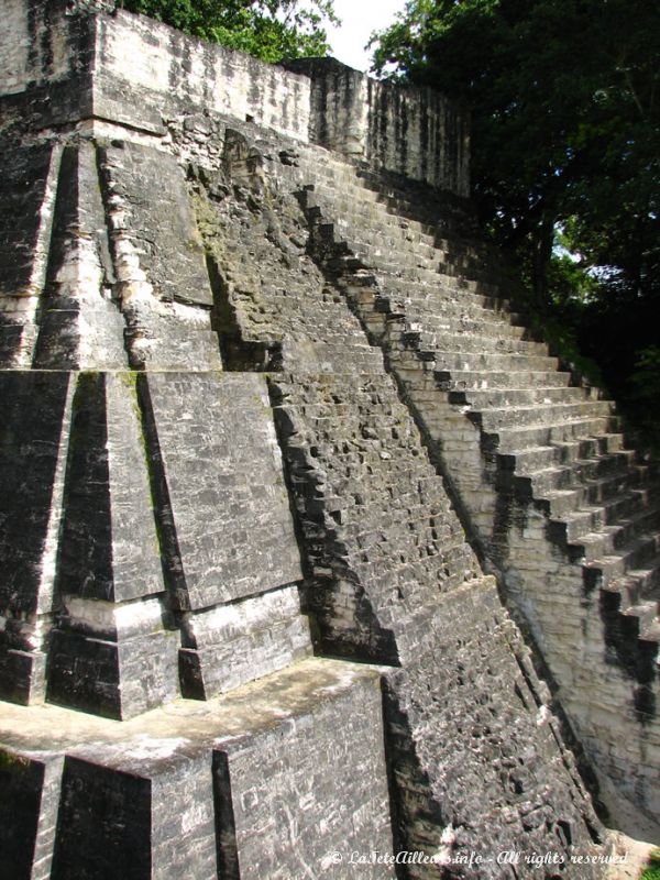 De nombreux temples de Tikal sont construits en escalier